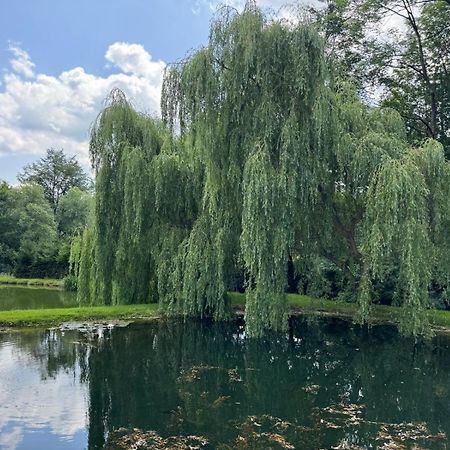 Restauracja I Noclegi Izba Rybacka W Krainie Wygaslych Wulkanow Podgorki Extérieur photo
