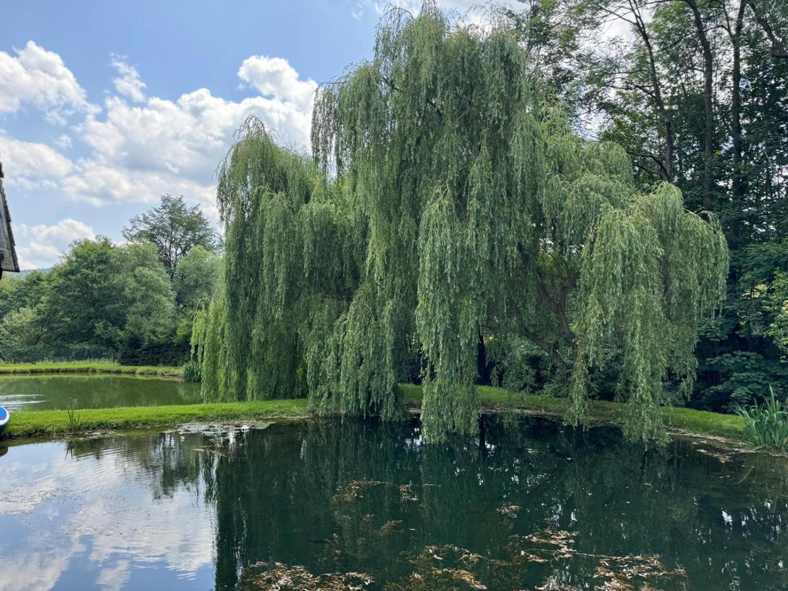 Restauracja I Noclegi Izba Rybacka W Krainie Wygaslych Wulkanow Podgorki Extérieur photo